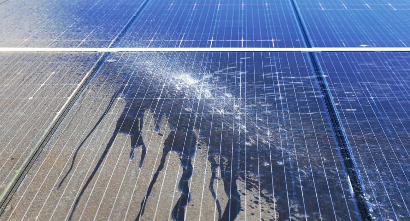 Nettoyage & Démoussage de toiture 94